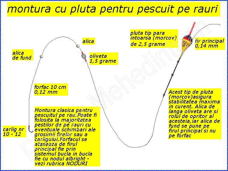Interesante :) - monplutarauri.jpg